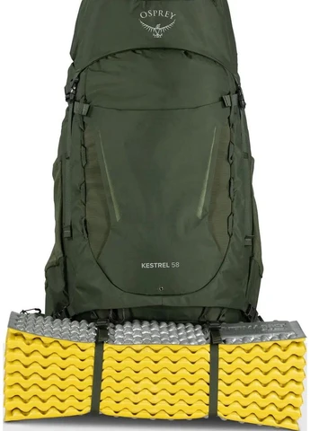 Рюкзак Kestrel 58 S/M Bonsai Green Osprey (316439368)