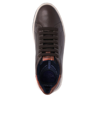 Коричневые осенние полуботинки мужские Pegada