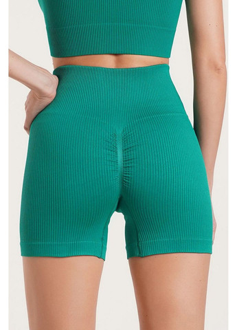 Шортики в рубчик с эффектом пуш-ап Shorts Rib Shape Giulia (366300570)