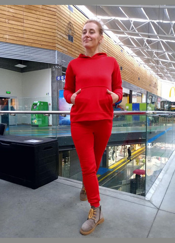 Червоний трикотажний комплект — худі +джогери 2 Льва (358068653)