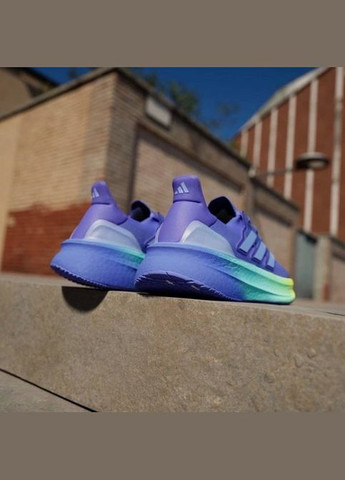 Кросівки ULTRABOOST 5 adidas сливові (350883104)