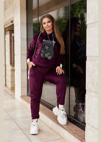 Велюровий спортивний костюм No Brand (300352356)