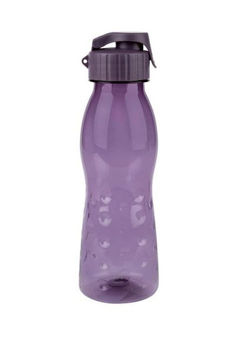 Бутылка для питья 0,7 фиолетовая Ernesto (315848818)