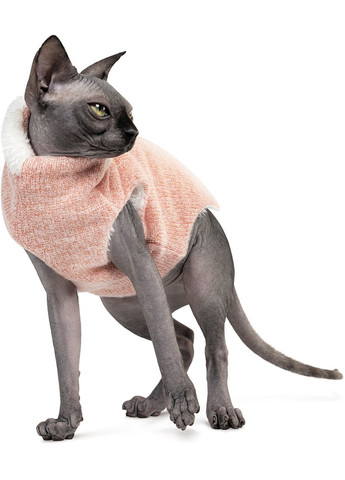 Свитер для кошки "CAT" персик (4823082429707) Pet Fashion (279571468)