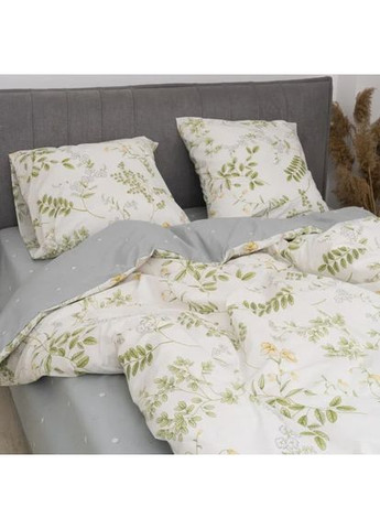 Комплект постельного белья полуторный ранфорс 24326 100% хлопок Viluta (361971170)