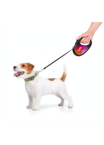 Поводок для собак R-leash Конотопские магические войска светоотражающая лента L 5 м (8126-0232-01) WAUDOG R-leash Конотопські магічні війська світловідбиваю (366481972)