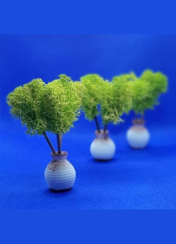 Стабілізований мох ягель Зелений світлий 1 кг Nordic moss (278652075)