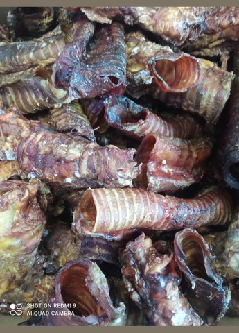 Трахеи говяжьи сушеные средняя ТМ ProfiFoods 1 кг Profi Foods (355380972)