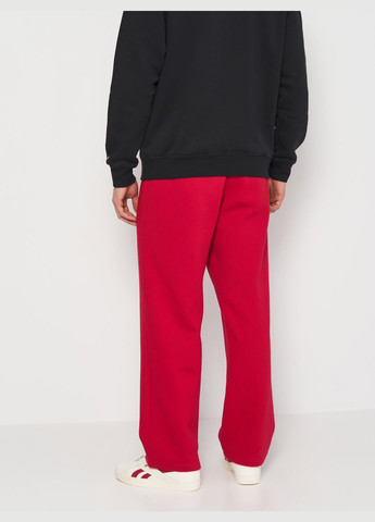 Красные повседневный зимние брюки H&M