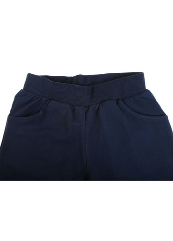 Синій демісезонний світшот + брюки 16071 темно синій Breeze