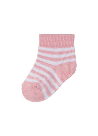 Набір шкарпеток (носків) для дівчинки Lupilu (293152272)
