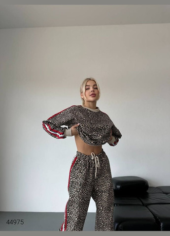 Жіночий костюм з леопардовим принтом Liton (303121724)