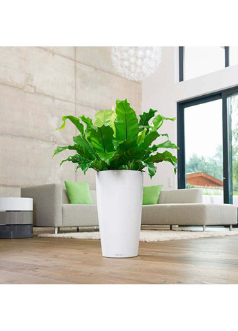 Кашпо Rondo 32 Білий (15780) Lechuza (323101910)