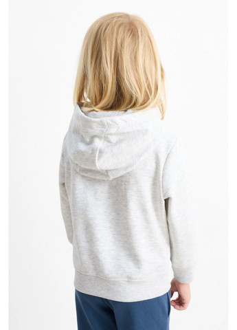 C&A комплект світшотів (2шт.) однотонний комбінований кежуал