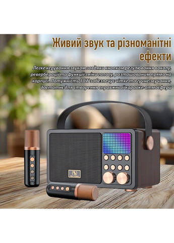 Портативная караоке-система YS-311 wood Inspire (363330038)