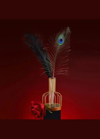 Набір з 2 пір'їнок,Natural Peacock Flirting Feather Tickler Lockink (306440845)