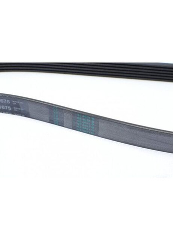 Ремень поликлиновой (Пр-во) 6PK1675 ContiTech (368134173)