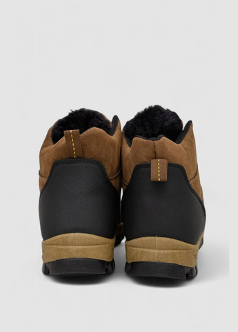 Черевики чоловічі на хутрі Ager 244R981 (312382459)