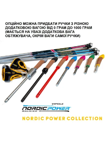 Оригінал! Секція палиць для скандинавської ходьби Asta Power Steps Blue 115 (SW20 01) Vipole (397581981)