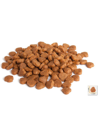 Сухой корм для кошек Adult Cat Lamb&Rice с мясом ягненка и рисом 2 кг (BC406120) BonaCibo (307930420)