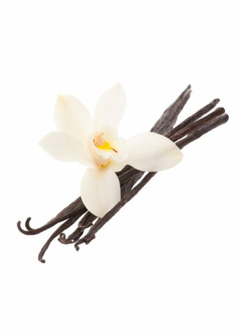 Ваніль стручок 2шт Міністерство Спецій No Brand (322828218)