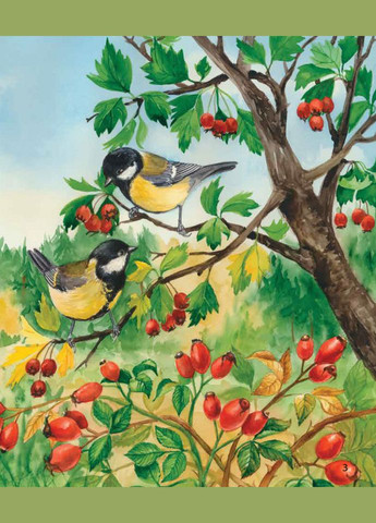 Детская энциклопедия про лес 614016 для дошкольников Ranok Creative (366975137)