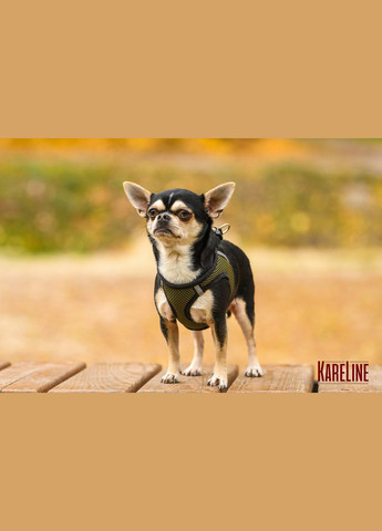 Шлей из сетчатого нейлона, с пластиковой пряжкой и светоотражающими элементами XS 255-280 мм. Kareline (339075613)