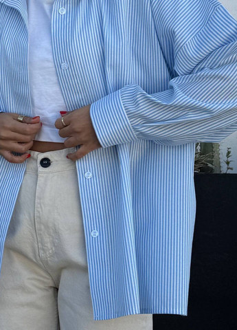 Голубой повседневный рубашка в полоску Україна с длинным рукавом