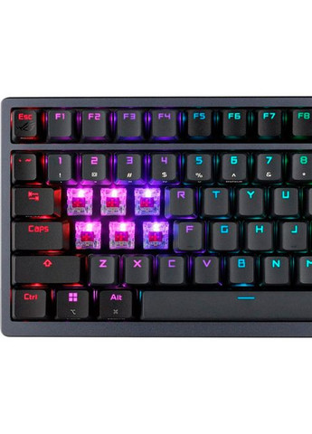 Клавіатура ROG Azoth RGB NX RD EN Black (90MP0316-BKUA01) Asus (306745493)
