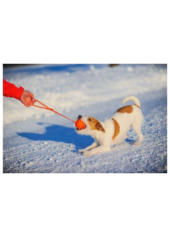 Игрушка для собак Line Мячик с лентой 5 см (6286) Liker Line М&apos;ячик зі стрічкою 5 см (366519618)