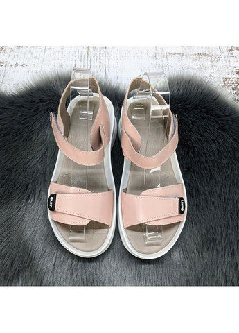 Пудровые босоножки женские кожаные Fashion с ремешком