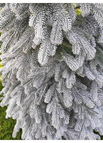 Ёлка искусственная литая SGX Элитная 2.50 м. заснеженная Yalynkar (366964336)