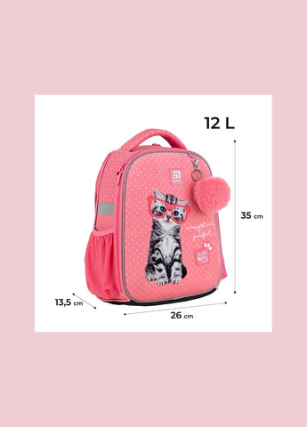 Рюкзак школьный каркасный Education Studio Pets SP24-555S-2 Kite (301212690)