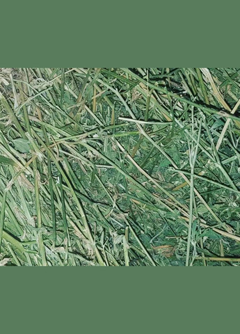 Сіно люцерна для гризунів ТМ WitoPets 6 литрів, для морських свінок, хом'ячків кроликів шиншилл, мишей і щурів No Brand (320950053)