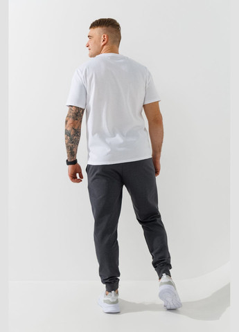 Темно-серые спортивные демисезонные брюки Demos