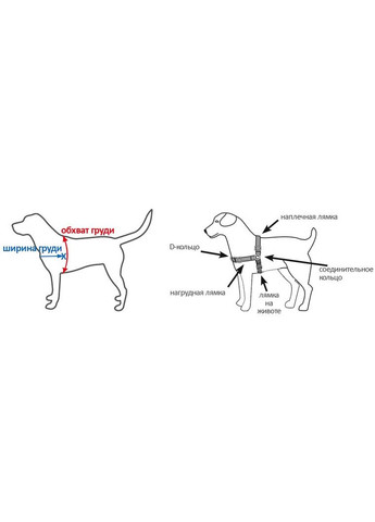 Шлея-антирывок для собак Легкая прогулка Easy Walk размер XL (729849131699) Premier (318100695)