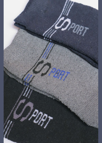 Комбинированные набор носков мужских махровых 3 штуки Let's Shop однотонные (304726534)