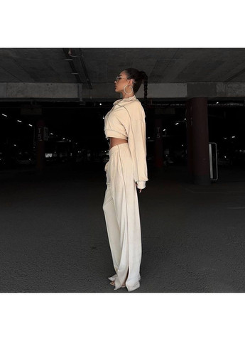 Жіночий костюм із велюру — трендовий вибір сезону No Brand (362588404)