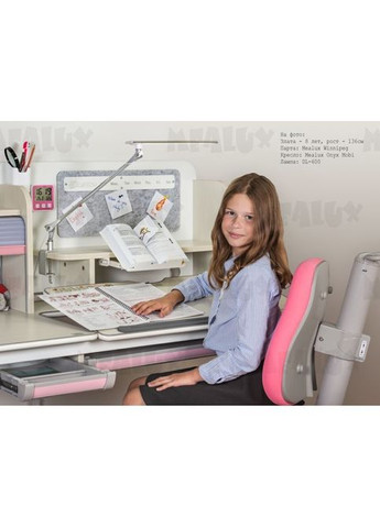 Парта (BD-630 MG + BL Multicolor) Mealux Winnipeg Multicolor Blue (301219648)