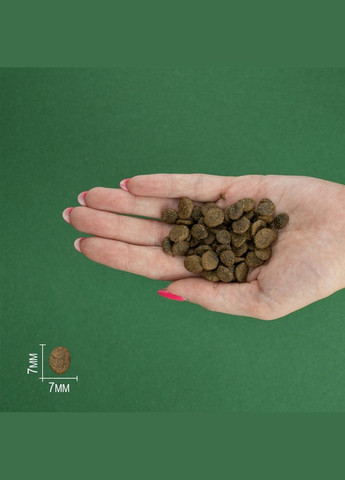 Сухий корм Salmon Mini Adult для дорослих собак дрібних порід з лососем 7 кг (8436538946725) Bravery (317223263)