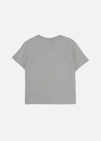 Серая летняя футболка с коротким рукавом для мальчика цвет серый цб-00277102 ALG