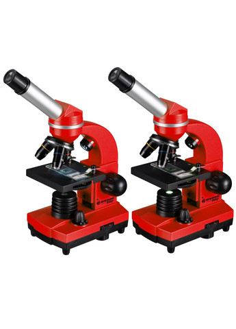 Микроскоп Junior Biolux SEL 40x-1600x Red с адаптером для смартфона (8855600E8G000) Bresser (346529783)