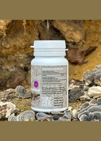 Гриб Траметес разноцветный, экстракт 10:1, капсулы 60 шт по 0.5 г Лісовик (334292937)