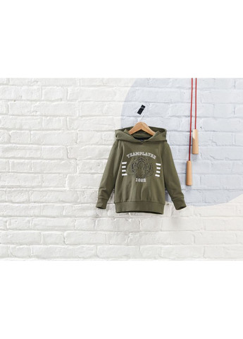 Худі двунитка для хлопчика LYCRA® 386731 хакі Lupilu (366199710)