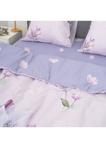 Постільна білизна ранфорс - 24346 сімейна Viluta (362209357)