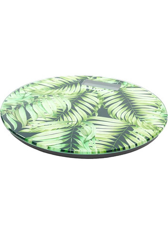 Весы кухонные HSK-1818 Holmer (332769940)