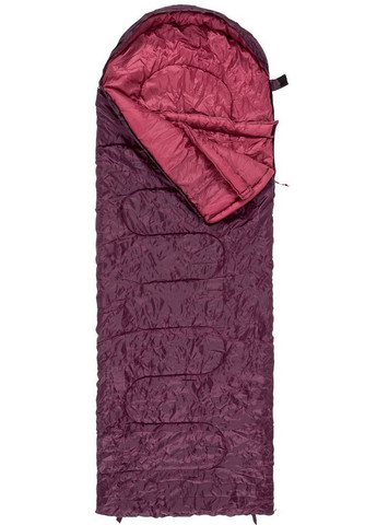 Cпальный мешок одеяло с капюшоном весна осень No Brand (282585676)