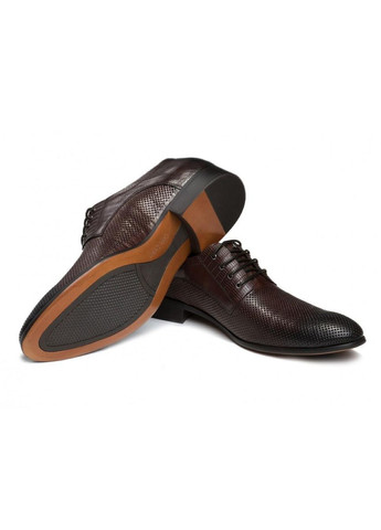 Туфлі 7152129 39 колір коричневий Carlo Delari (260957571)