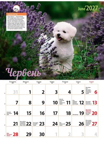 Календар 2027 Породи собак (Breeds of Dogs) із серії Світовид Видавництво «Діана плюс» (411054089)