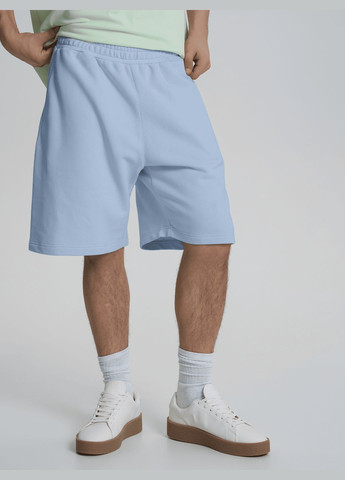 Шорти чоловічі щільні великих розмірів сіро-блакитного кольору ТМ РОЗА Роза (326584862)